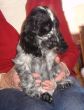 DSC00040.JPG
